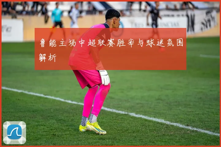 鲁能主场中超联赛胜率与球迷氛围解析